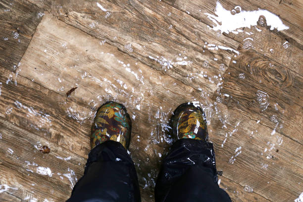 Laminate/Hardwood Flooring Damaged by Flood, what should you do?