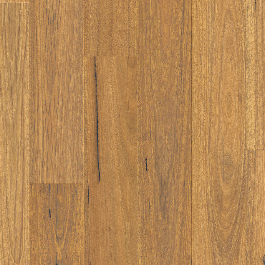 Natural Spotted Gum