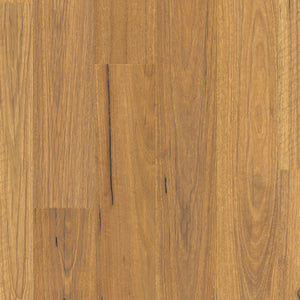 Natural Spotted Gum